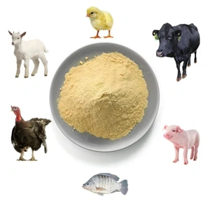 1746795336_Fodder & Feed Additives.webp